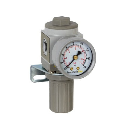 [PneumaticPlus] SAR2000M Miniature Air Pressure Regulator 1/4" NPT for Sanblaster