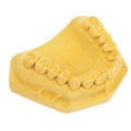 Rock yellow lab stone 25lb-High Strength Dental Model Stone, Smooth Finish, Reliable Accuracy
