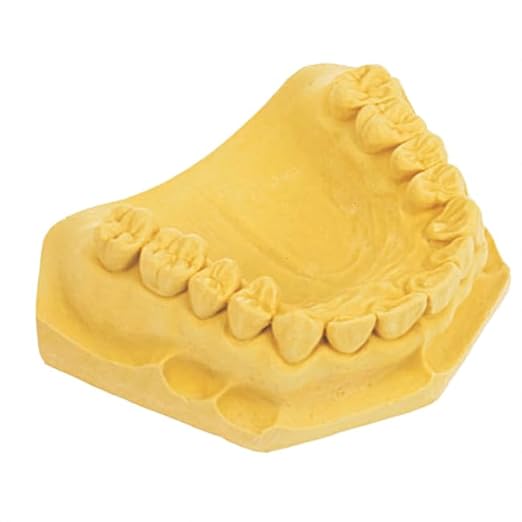 Rock yellow lab stone 25lb-High Strength Dental Model Stone, Smooth Finish, Reliable Accuracy